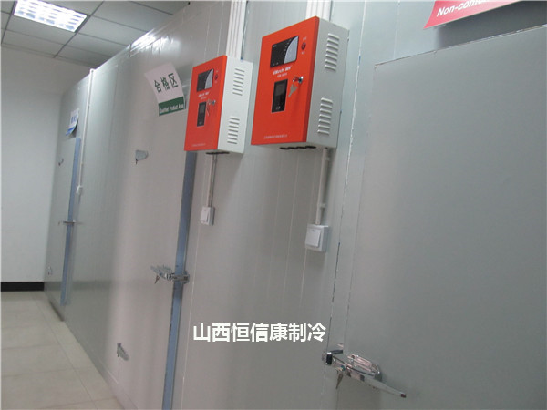 ɽ���������